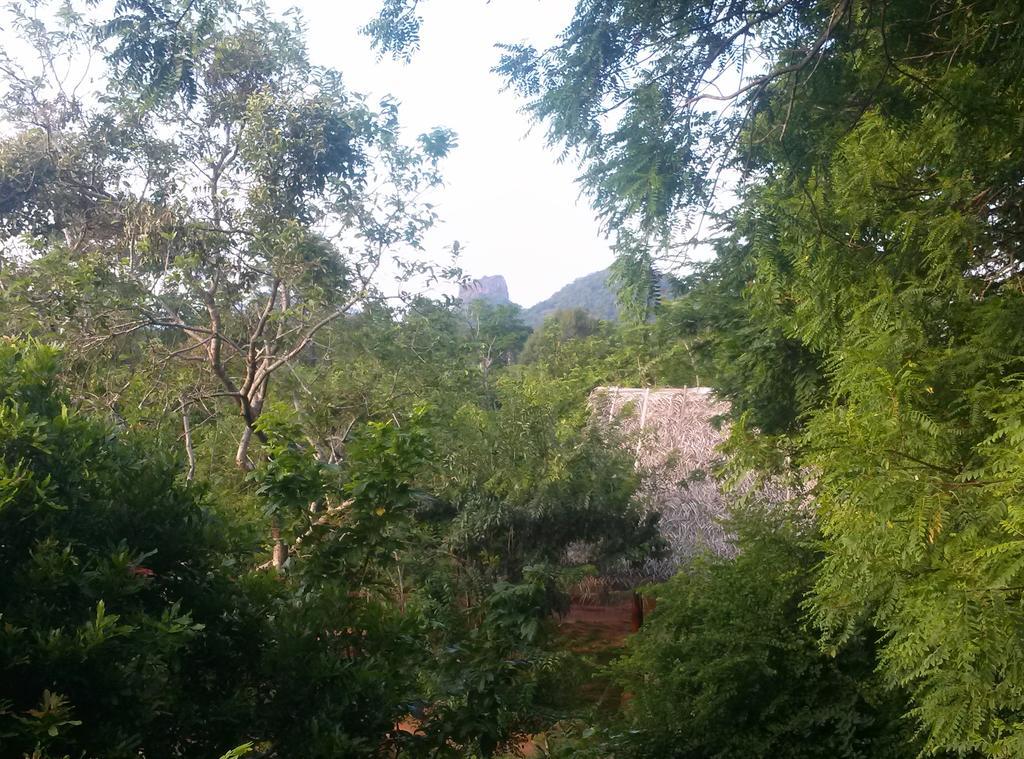 Kuwera Eco Lodge Sigiriya Exteriér fotografie