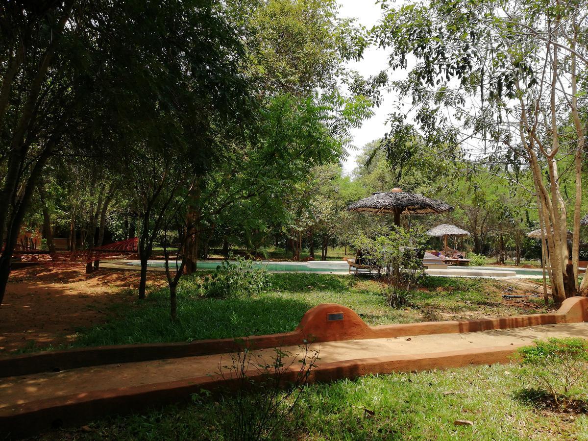 Kuwera Eco Lodge Sigiriya Exteriér fotografie