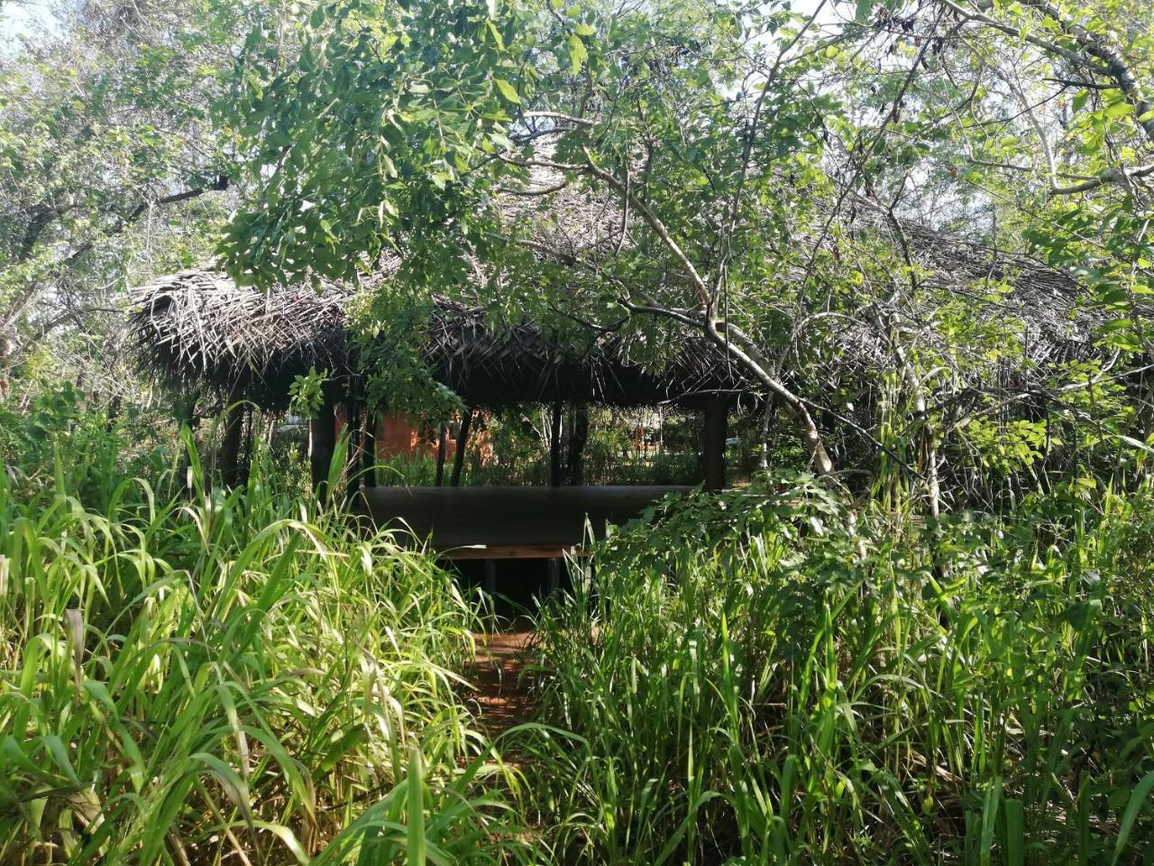 Kuwera Eco Lodge Sigiriya Exteriér fotografie
