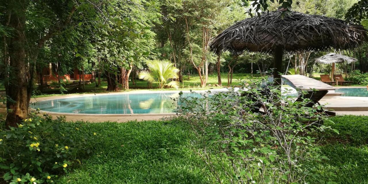 Kuwera Eco Lodge Sigiriya Exteriér fotografie