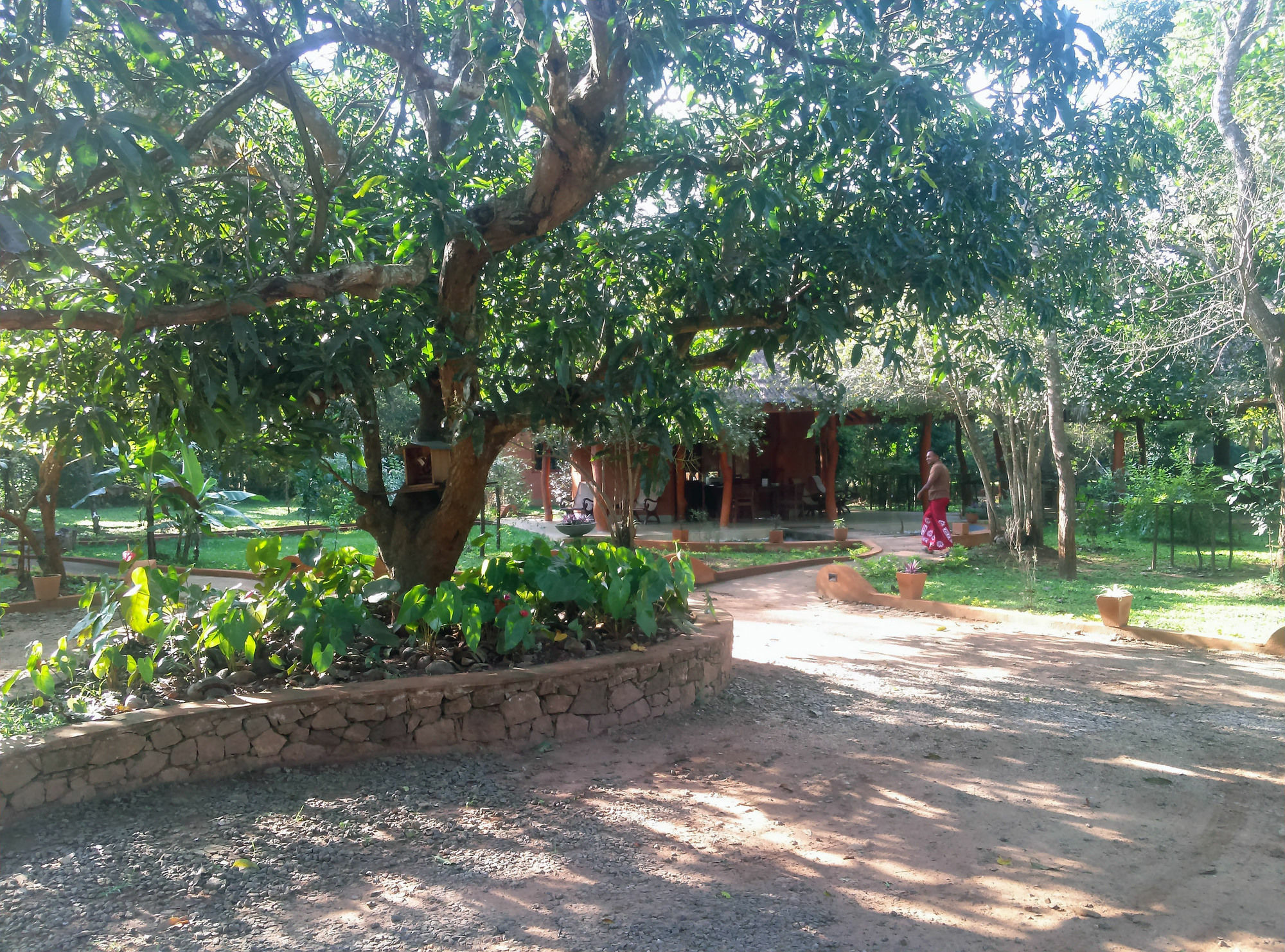 Kuwera Eco Lodge Sigiriya Exteriér fotografie